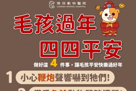毛孩過年四四平安！讓牠們平安開心迎新年