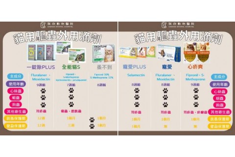 貓咪外用驅蟲滴劑