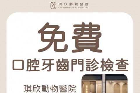口腔牙齒門診檢查