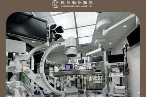 手術麻醉過程