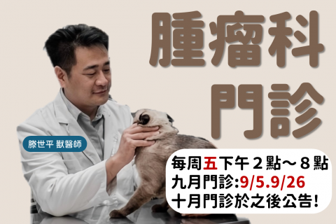 【腫瘤科專科門診公告】