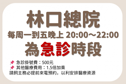 【傍晚急診服務公告】