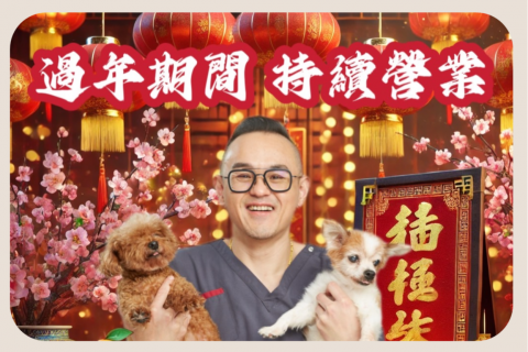 【過年不打烊！】