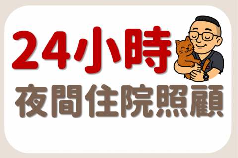 【5/1 起，我們提供 24 小時照顧服務】