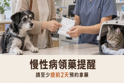 【慢性病毛孩領藥提醒】