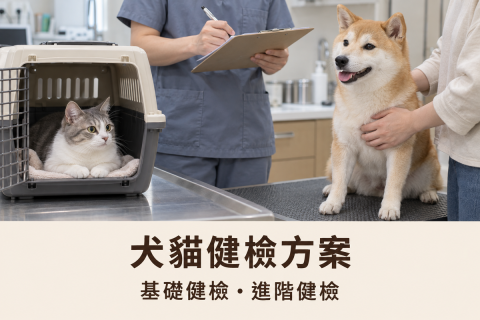 【犬貓健檢優惠方案公告-林口總院為主】