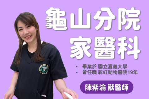 【 新進醫師介紹｜陳紫渝 獸醫師 】