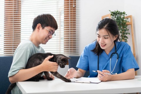 寵物健檢怎麼做？狗貓與特殊寵物健檢項目與費用一次看懂