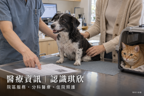 認識琪欣｜院區服務與就診指南