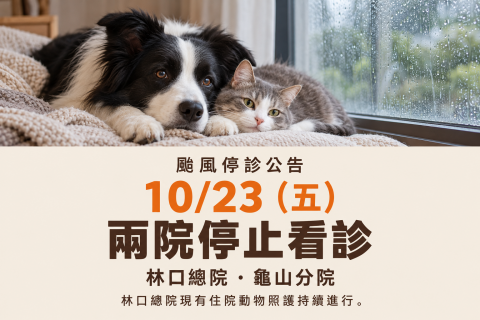 10/23（五）颱風停診公告｜林口總院、龜山分院