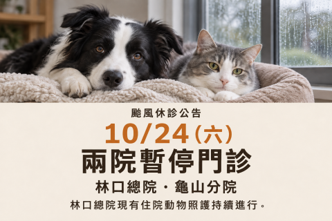 10/24（六）颱風停診公告｜林口總院、龜山分院